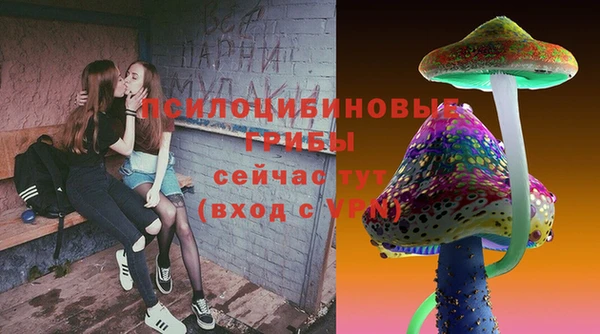 марки lsd Богданович