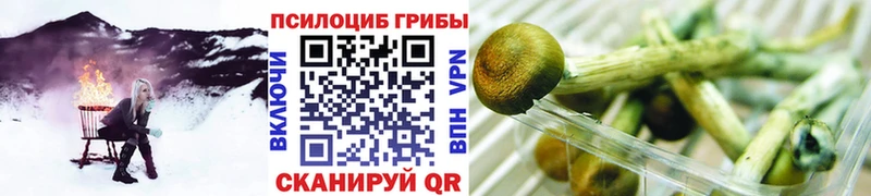 Галлюциногенные грибы прущие грибы  Ильский 